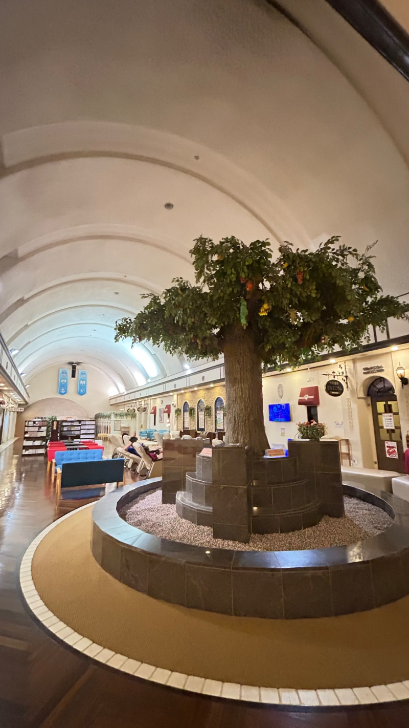 moe884さんの野天風呂 あかねの湯 加古川店のサ活写真