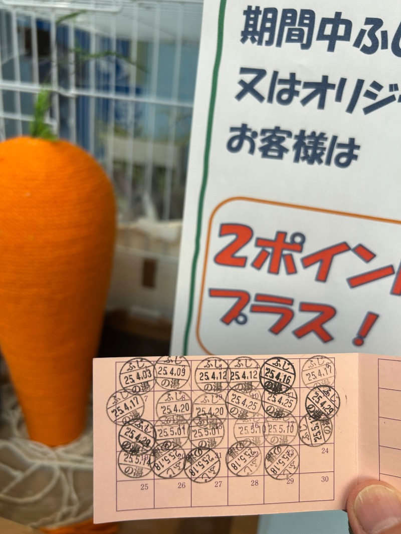 おぷさんのアクアリゾート 岐阜ふじの湯のサ活写真