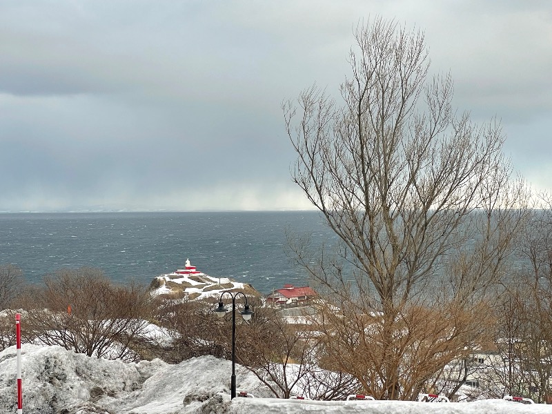 MiNaToさんのホテルノイシュロス小樽のサ活写真