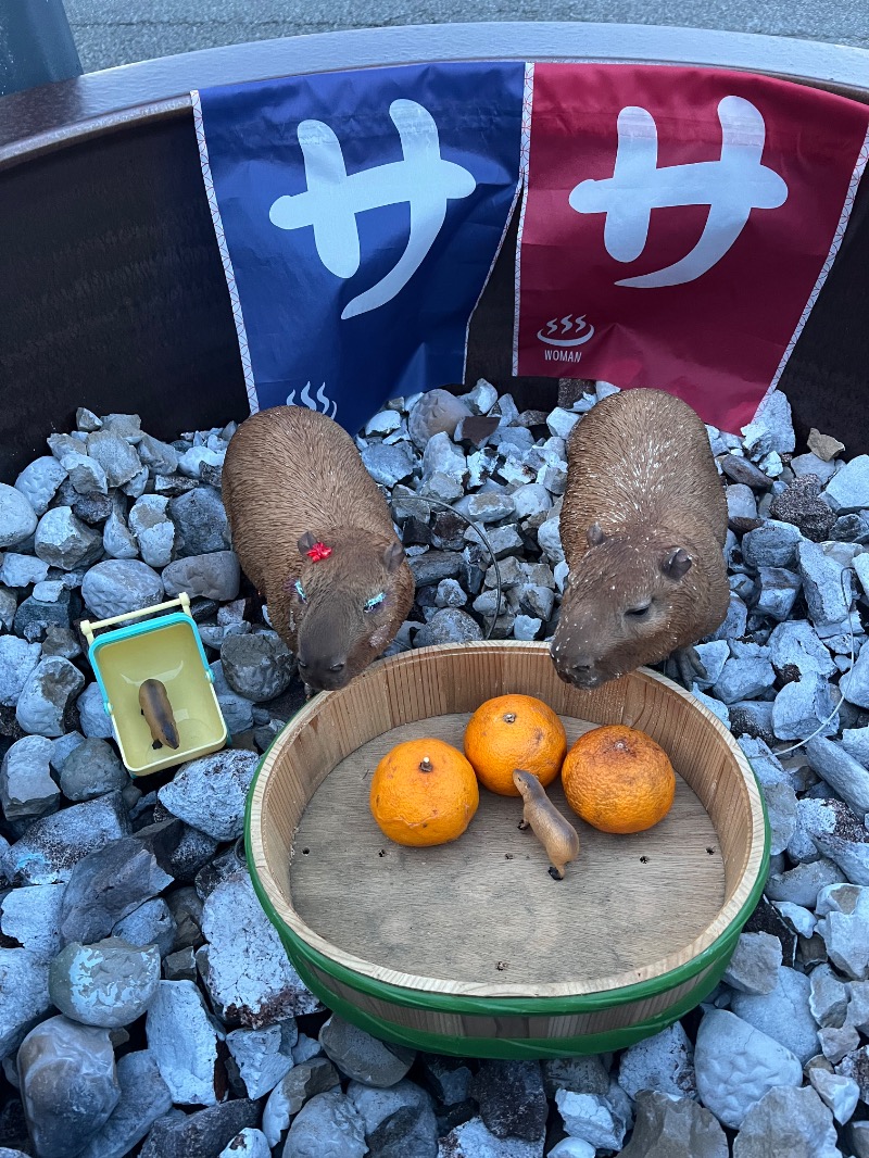 maru。☺︎︎︎︎さんの富士山天然水SPA サウナ鷹の湯のサ活写真