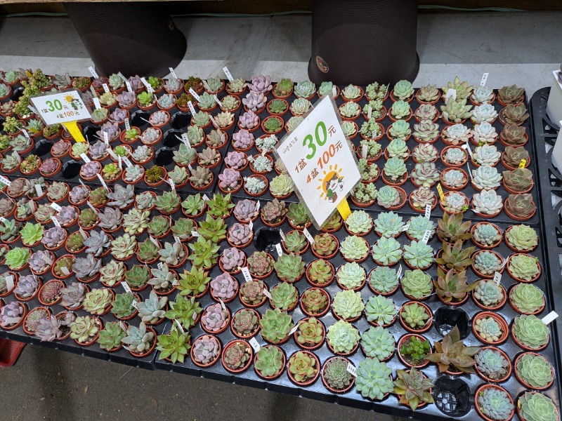 テレクちゃんさんのRSL Hotel Taipei Zhongheのサ活写真