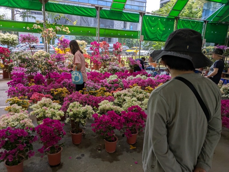 テレクちゃんさんのRSL Hotel Taipei Zhongheのサ活写真