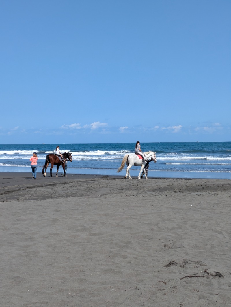 テレクちゃんさんの礁渓温泉公園内 森林風呂のサ活写真