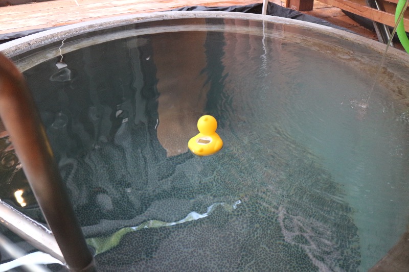 ✩さゎこ✩( ˘ᵕ˘ )さんのsauna NALUQのサ活写真