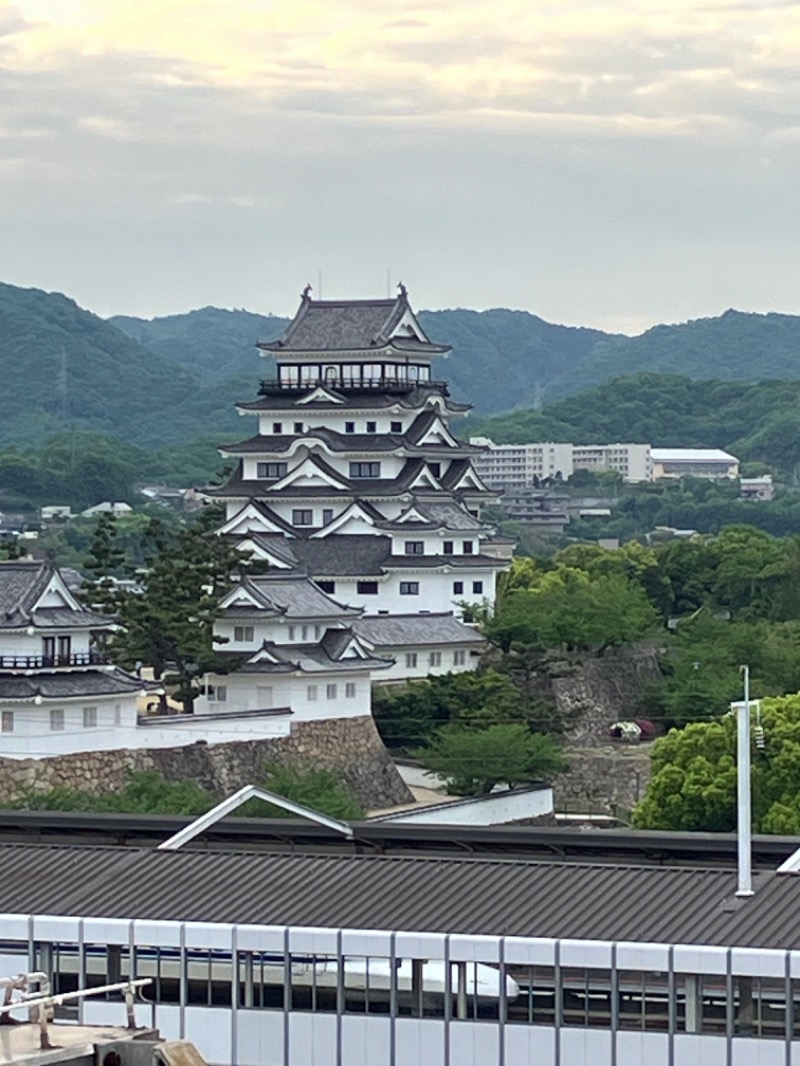 ごく♨️さんのカプセル&サウナ日本のサ活写真