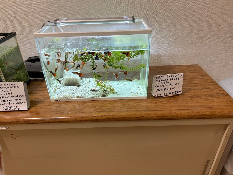 Meets。さんの沼木温泉 辻ヶ花のサ活写真