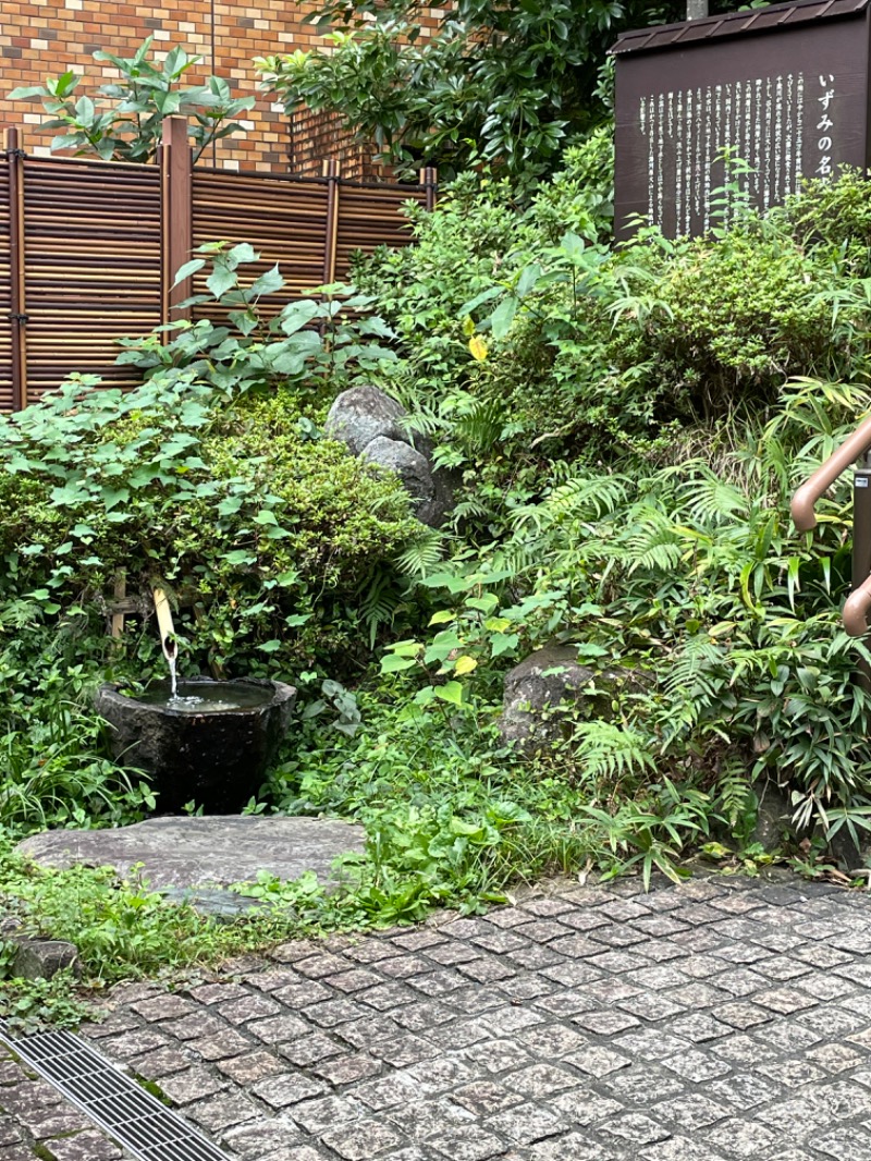 虫親父さんのいずみの湯 (ニューウェルシティ湯河原)のサ活写真