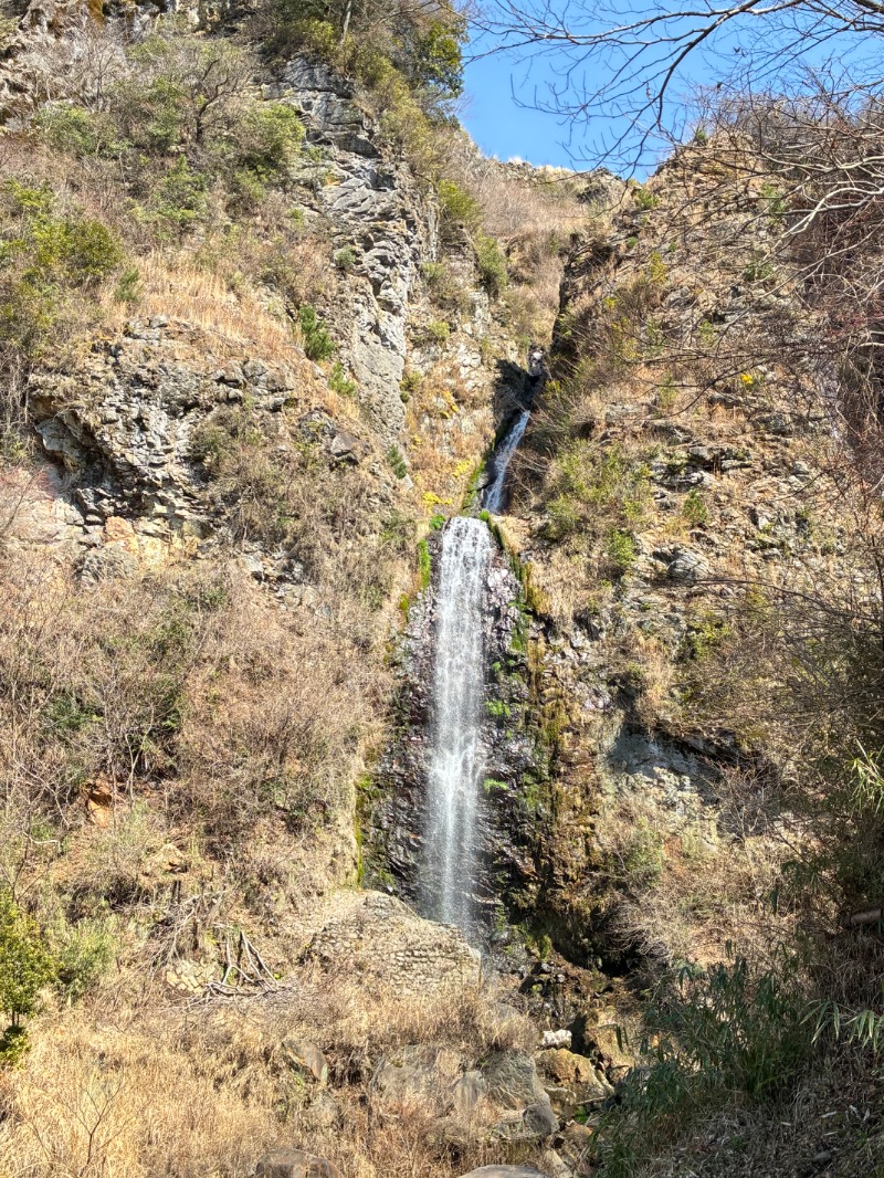 ハムソヨ🐹さんの垂玉温泉 瀧日和のサ活写真