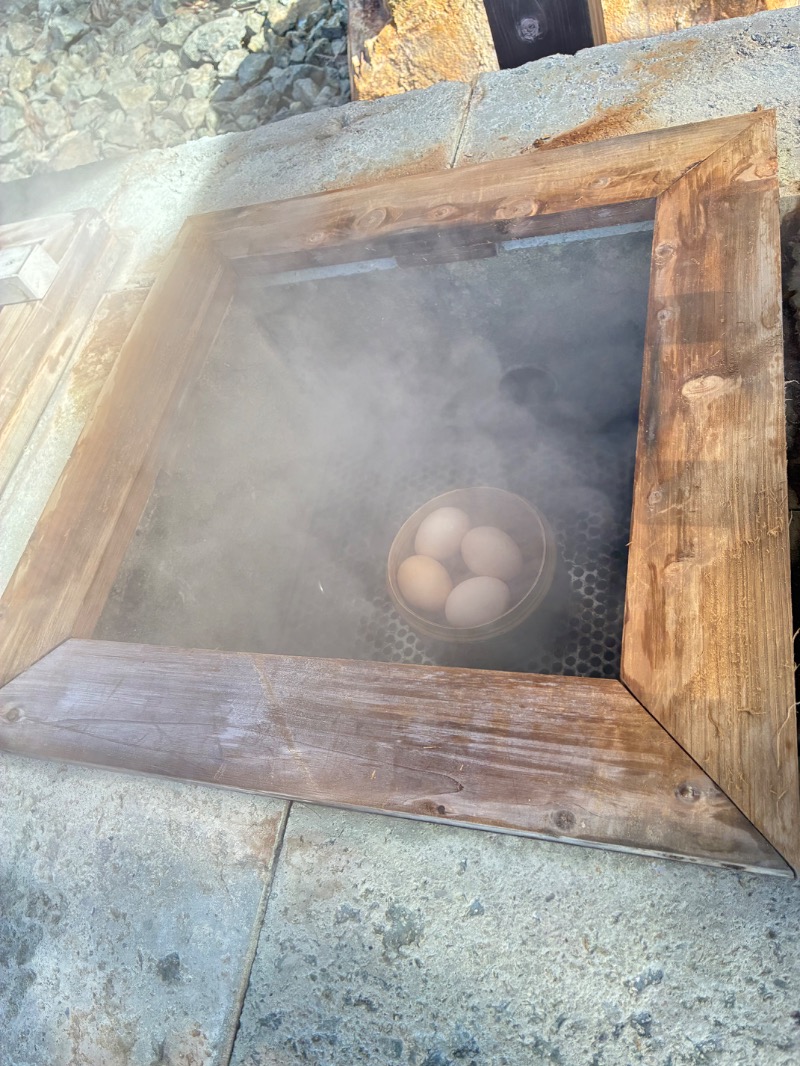 ハムソヨ🐹さんの垂玉温泉 瀧日和のサ活写真