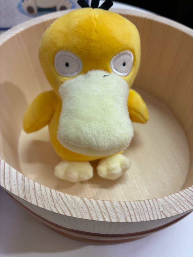 ハムソヨ🐹さんの湯乃泉 草加健康センターのサ活写真