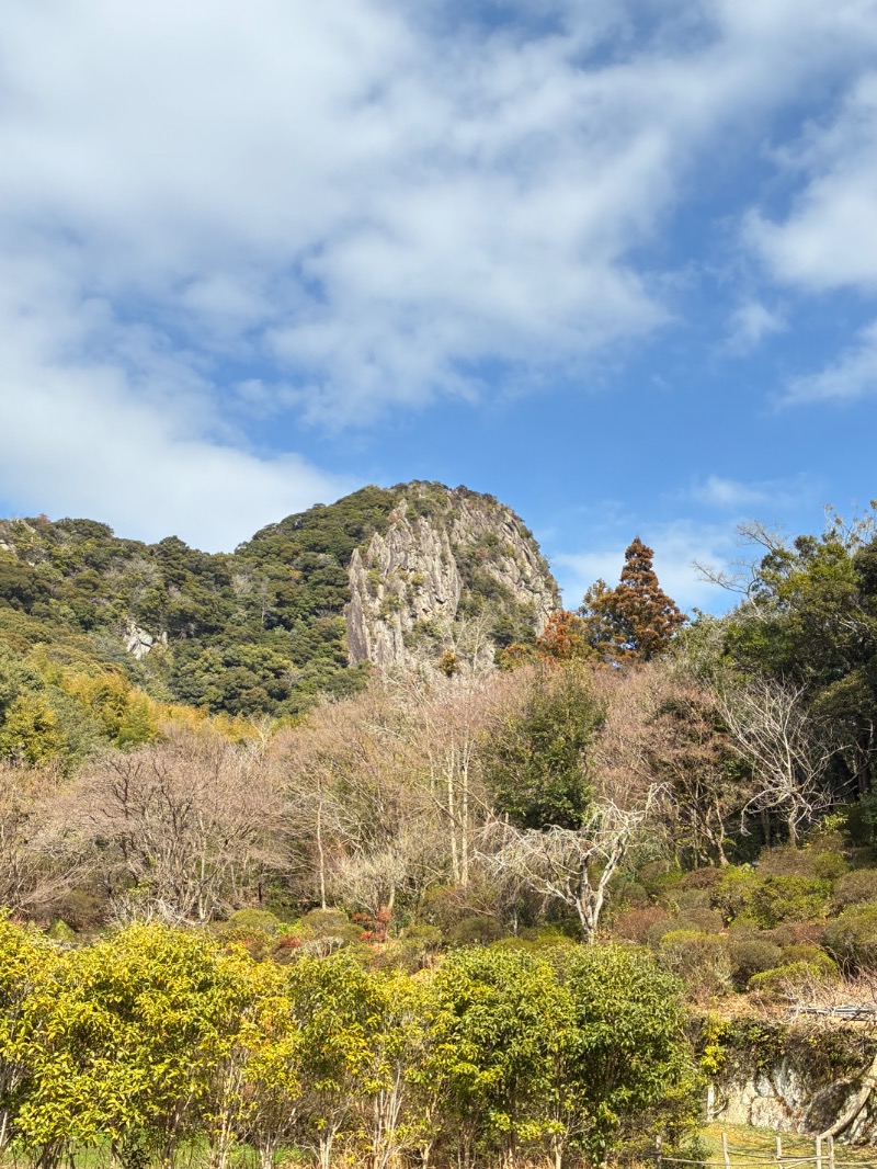 ハムソヨ🐹さんの御船山楽園ホテル  らかんの湯のサ活写真