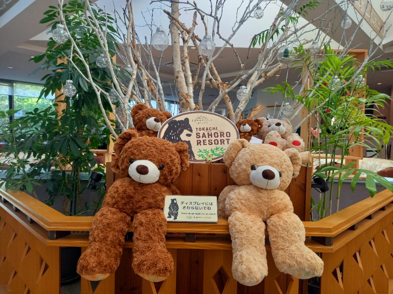 すぎっぴさんのサホロリゾートホテルのサ活写真