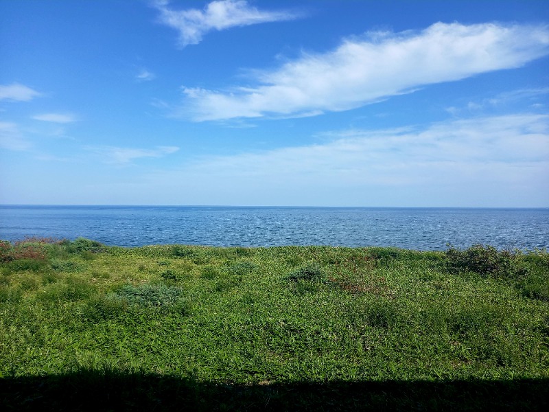 すぎっぴさんの晩成温泉のサ活写真