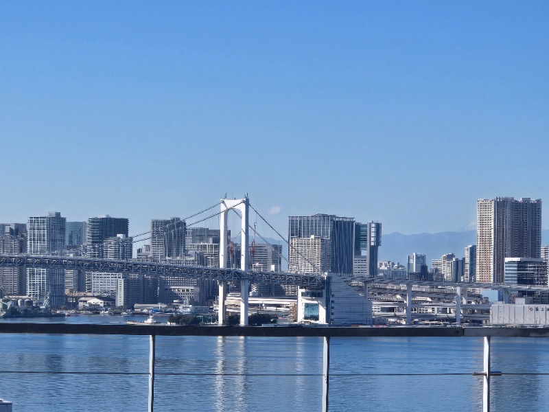 むっすんさんの東京豊洲 万葉倶楽部のサ活写真