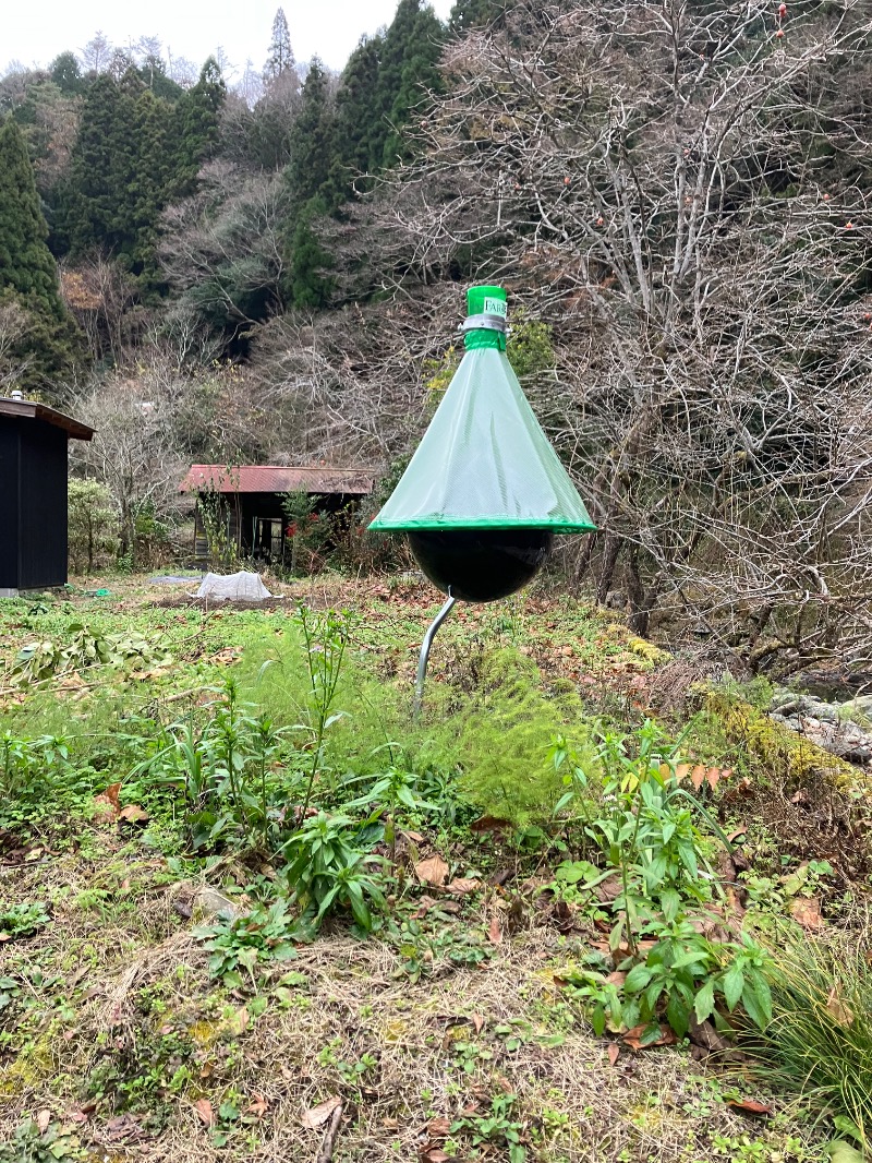 ピロコさんのVIEHÄttÄVÄ ヴィエハッタヴァのサ活写真