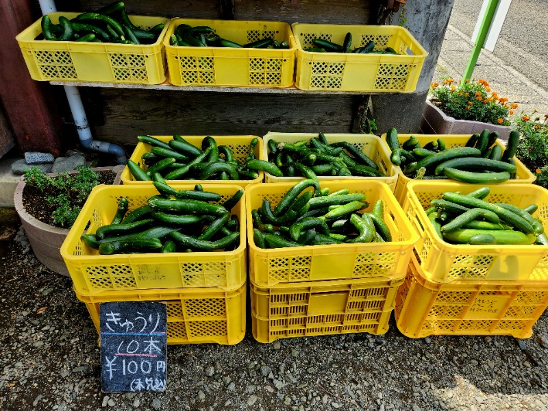 メーテルさんの山梨泊まれる温泉 より道の湯のサ活写真