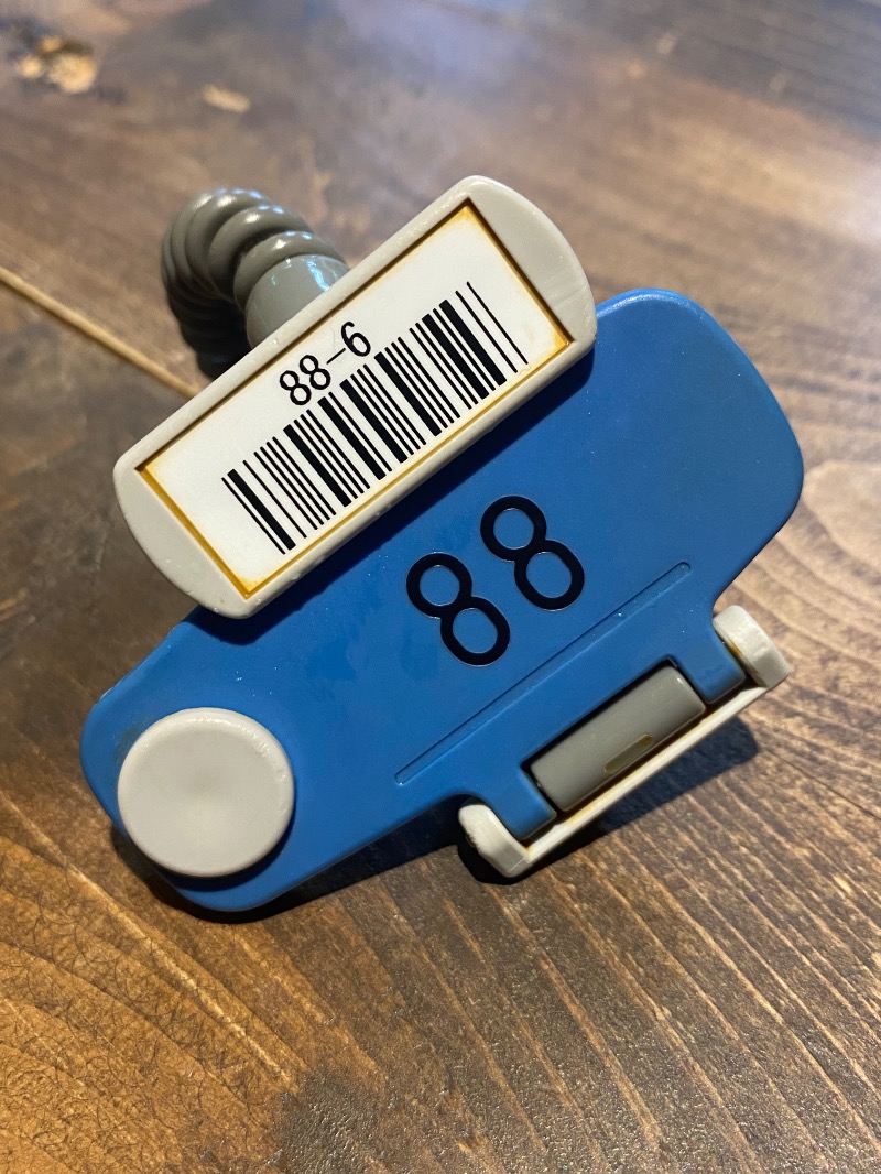 うどんの國のかけだしサウナーさんのゴールデンタイム高松のサ活写真