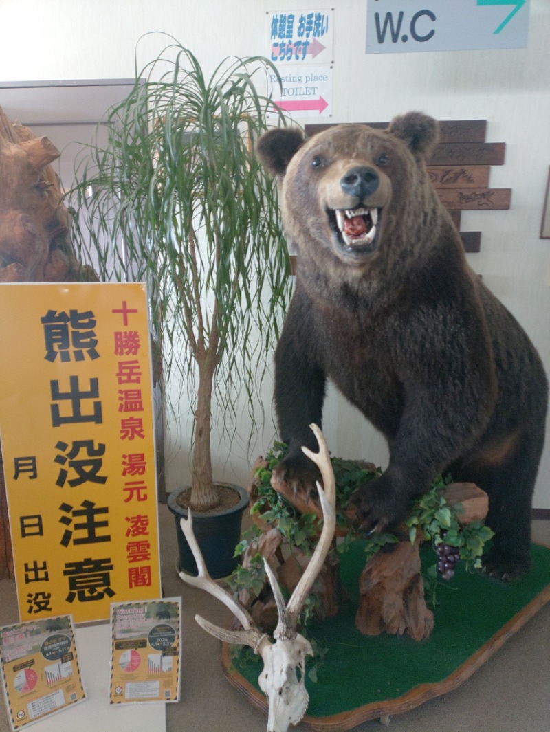 響さんの十勝岳温泉 凌雲閣のサ活写真