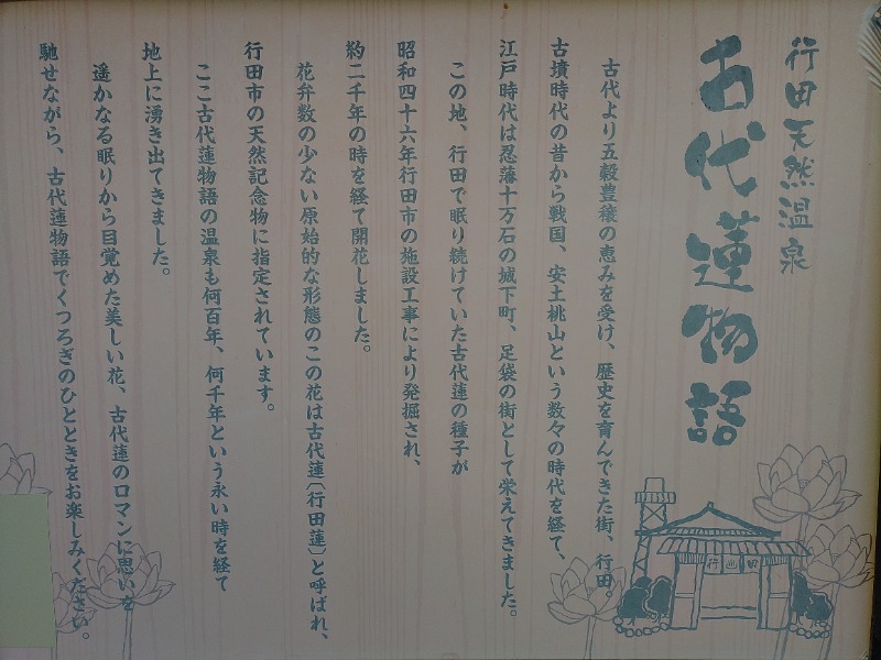 響さんの行田天然温泉 古代蓮物語のサ活写真