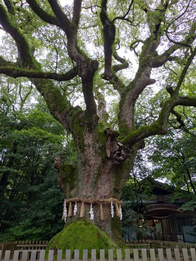 タカ⊿kamiliaさんの名古屋ビーズホテル らくだの湯のサ活写真