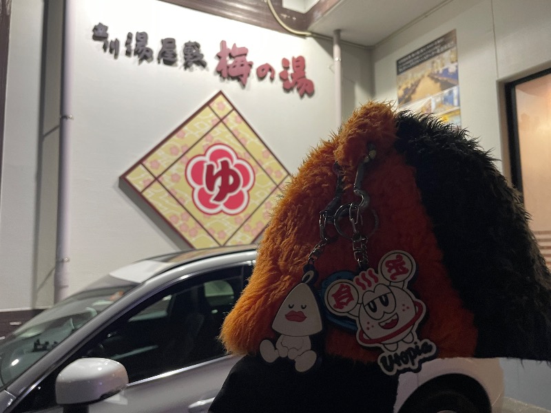 てっつー529さんの立川湯屋敷 梅の湯のサ活写真