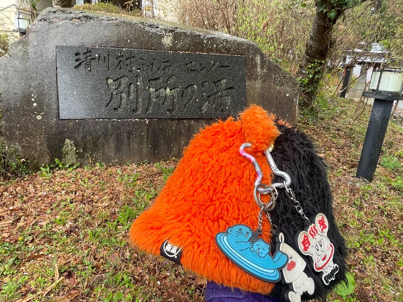 てっつー529さんの清川村ふれあいセンター 別所の湯のサ活写真