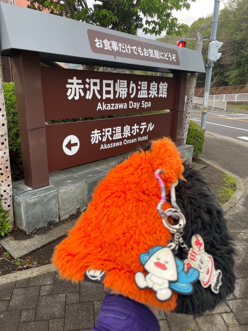 てっつー529さんのプレジャーリゾート伊豆赤沢温泉(赤沢日帰り温泉館)のサ活写真