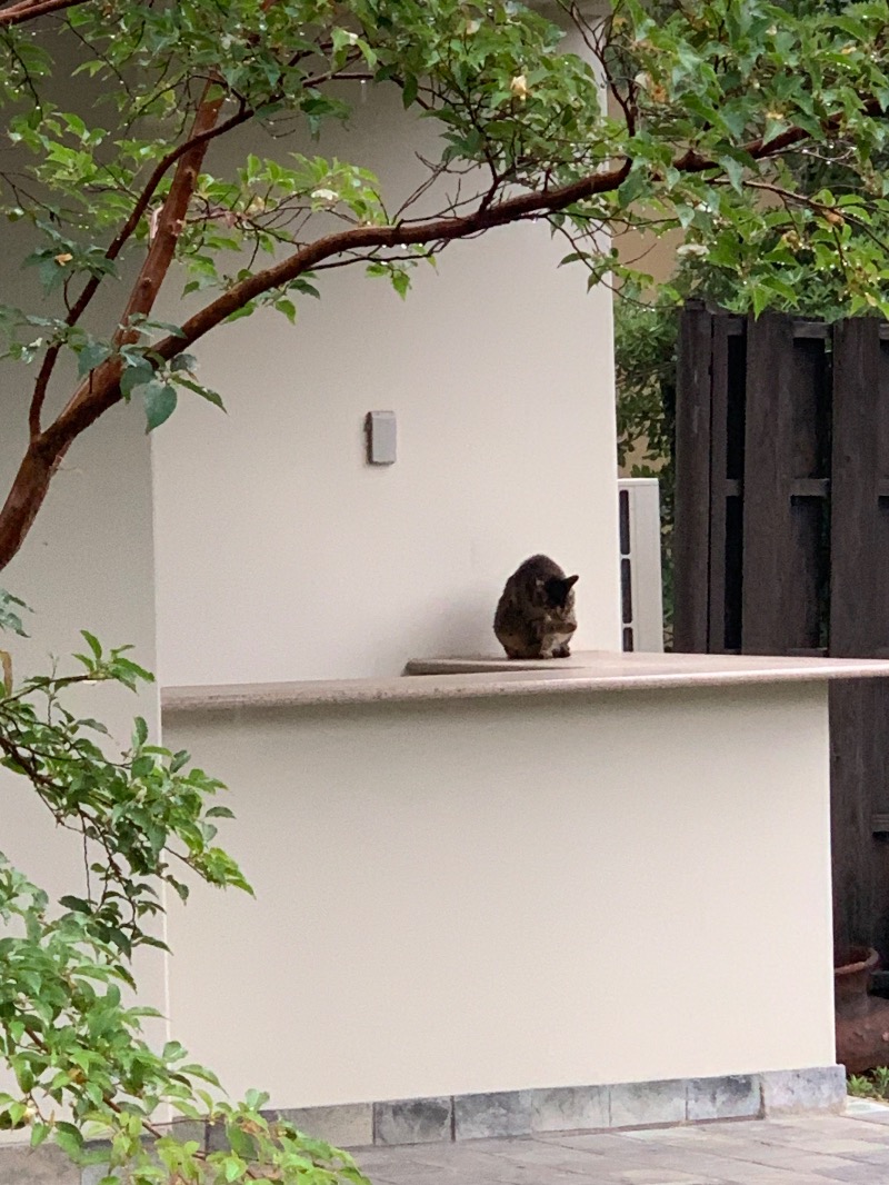 房総サウナーさんのシェラトン・グランデ・オーシャンリゾート 松泉宮のサ活写真