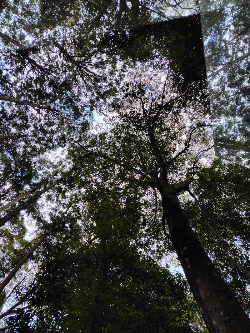 ころころさんのカガミノサウナ(奥武雄温泉 風の森)のサ活写真