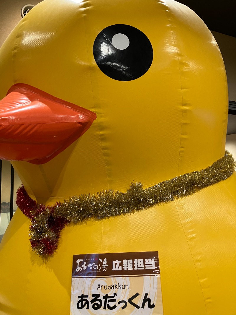 そっそそー（ととのいペンギン）さんの神州温泉 あるごの湯のサ活写真