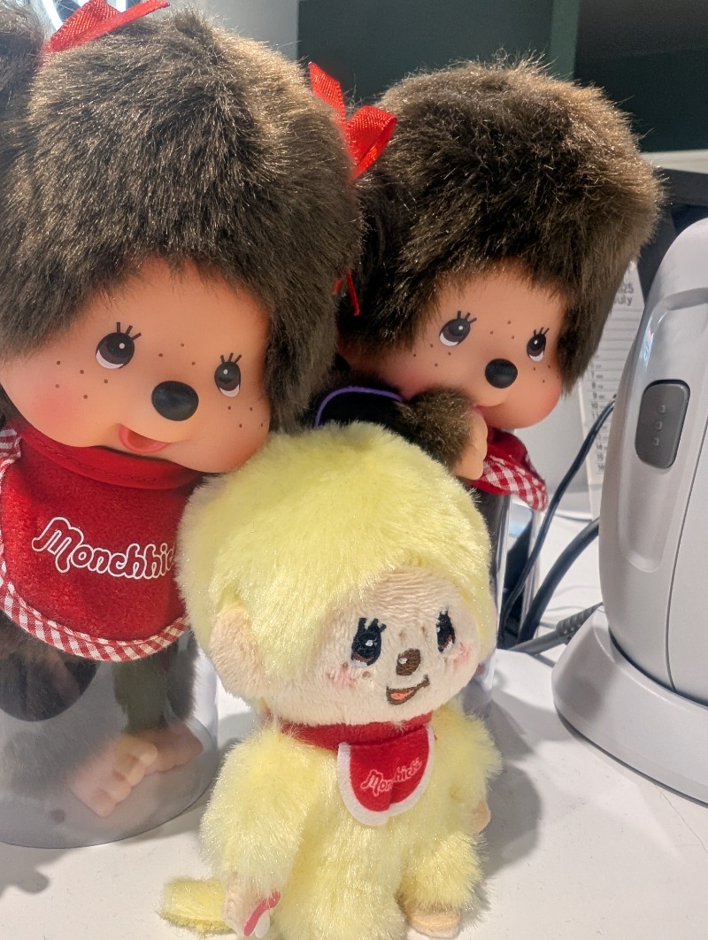 すなぎもさんのジェクサー・フィットネス&スパ新⼩岩のサ活写真