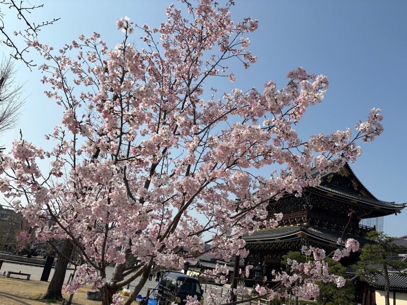 LKメトロさんの白山湯 六条店のサ活写真