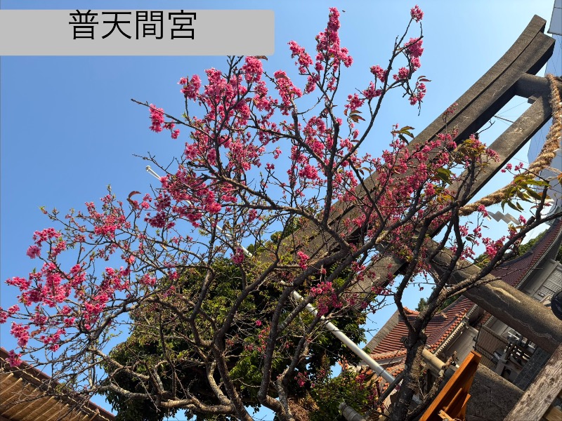 LKメトロさんのサウナの珠湯のサ活写真