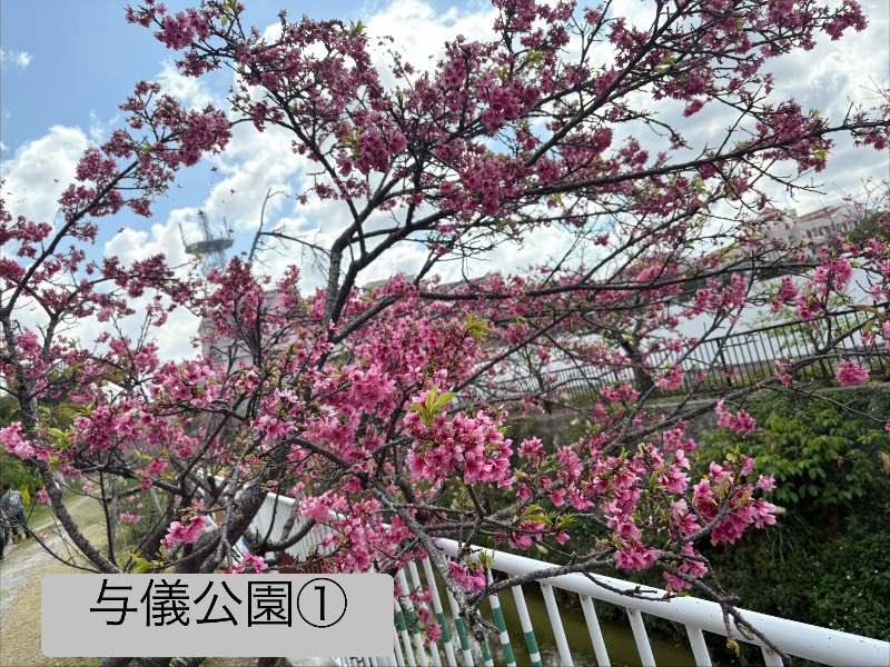 LKメトロさんのサウナの珠湯のサ活写真