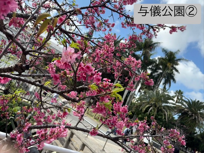 LKメトロさんのサウナの珠湯のサ活写真