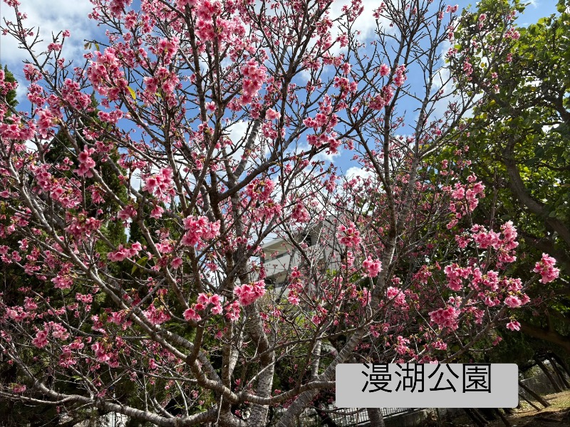 LKメトロさんのサウナの珠湯のサ活写真