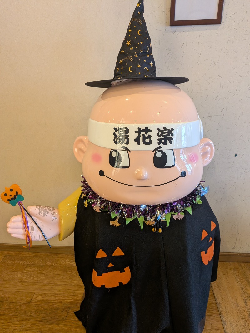 蒸しミッキーさんのととのいの郷 秦野湯花楽のサ活写真