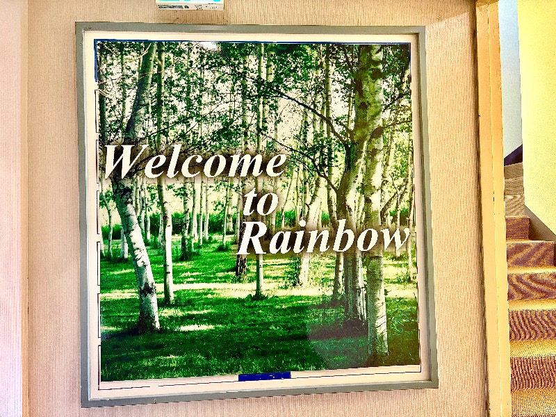 まさうなさんのサウナ&カプセルホテル レインボー新小岩店のサ活写真