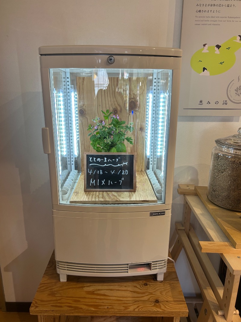 whiteroomさんの岐阜各務原 恵みの湯のサ活写真