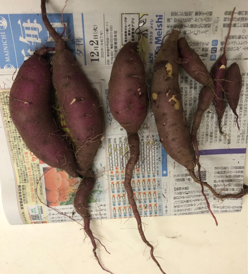 MR.SAUNAさんの天然温泉 満天の湯のサ活写真