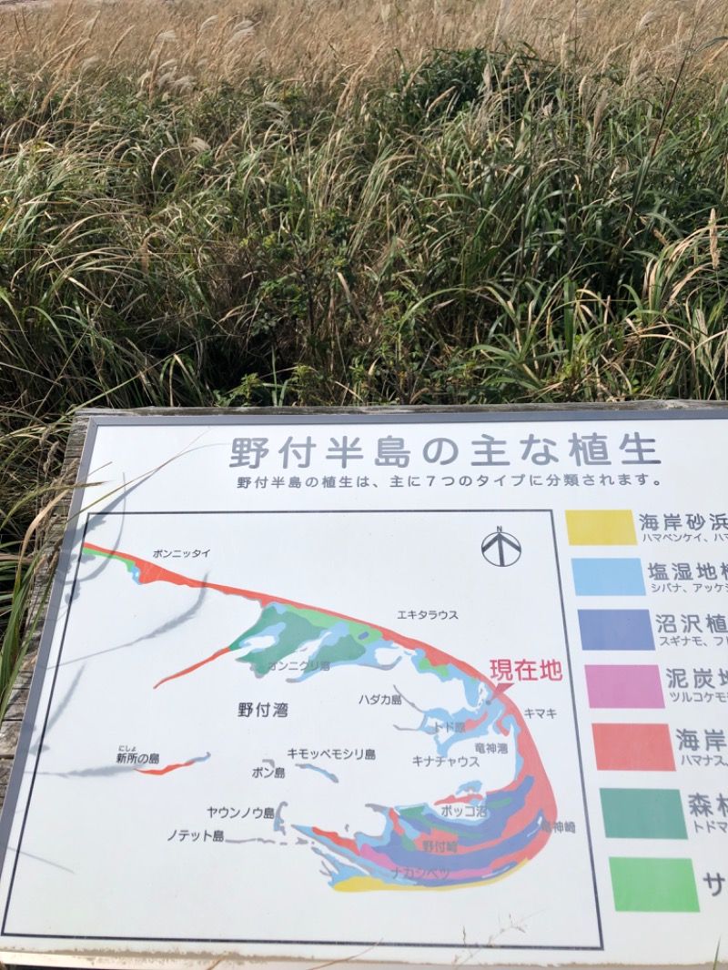 MR.SAUNAさんの湯宿だいいちのサ活写真