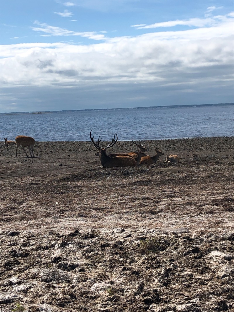 MR.SAUNAさんの湯宿だいいちのサ活写真