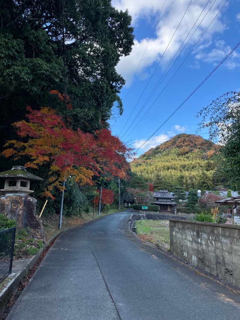 ピロコさんの山水園 翠山の湯のサ活写真