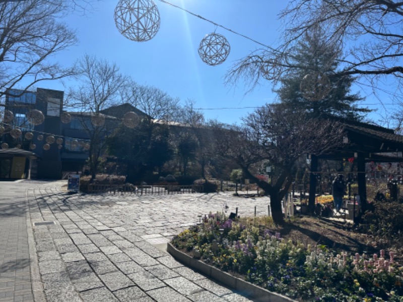 efuさんのよみうりランド眺望温泉 花景の湯のサ活写真