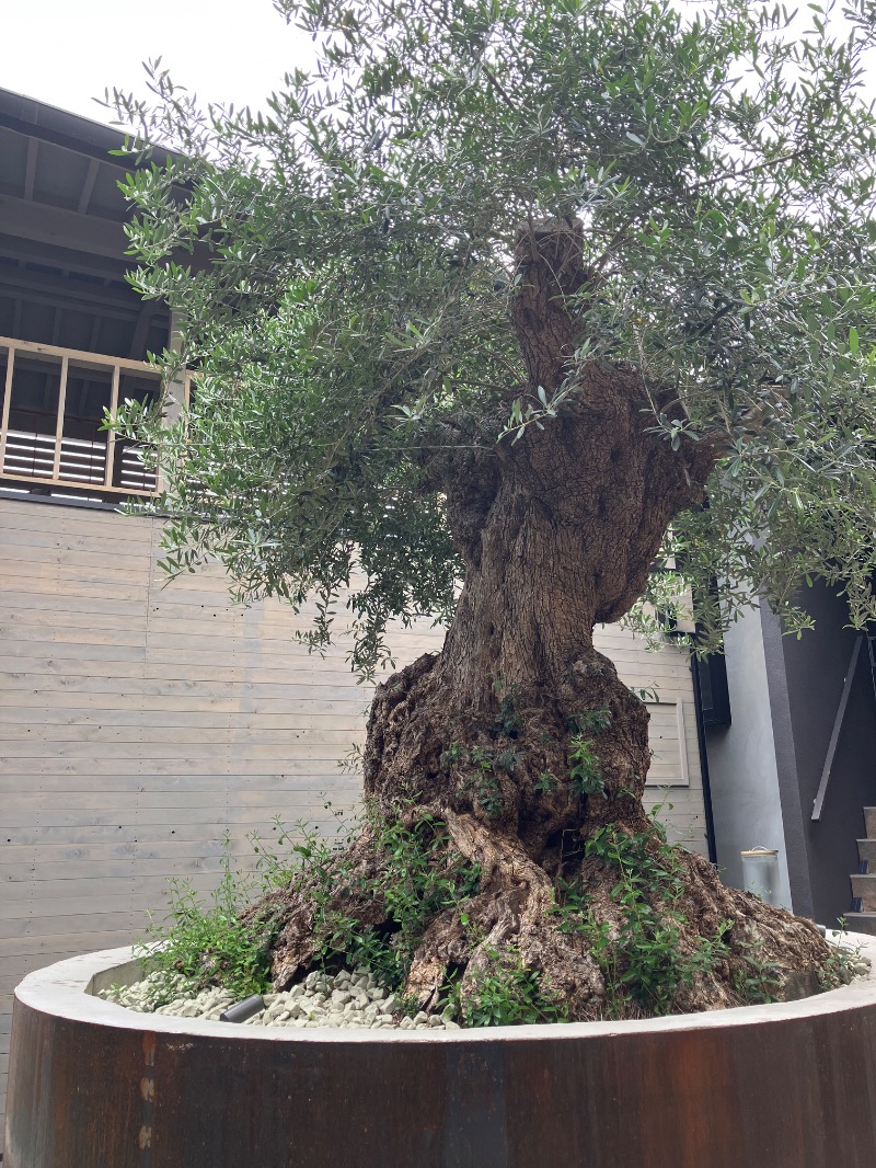 ごく♨️さんのsauna kolme kylä (サウナ コルメ キュラ)のサ活写真