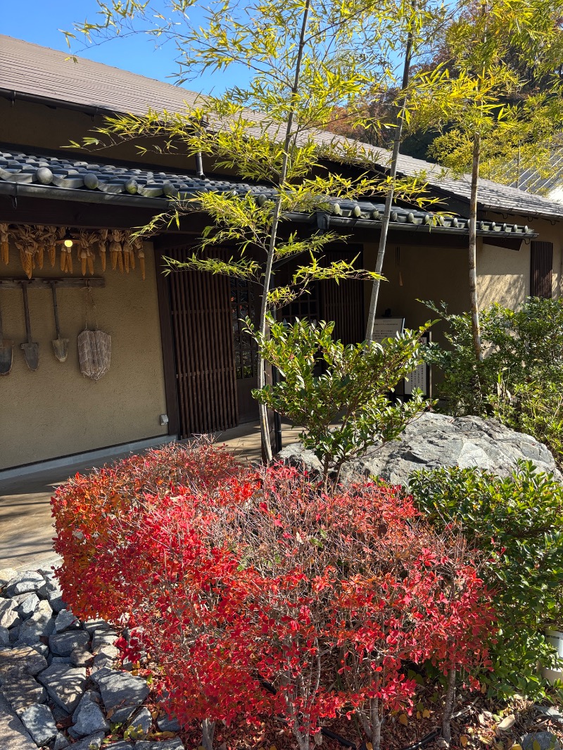 プロンポン26さんの野天スパ 十界の湯 ※旧:延羽の湯 野天 閑雅山荘のサ活写真