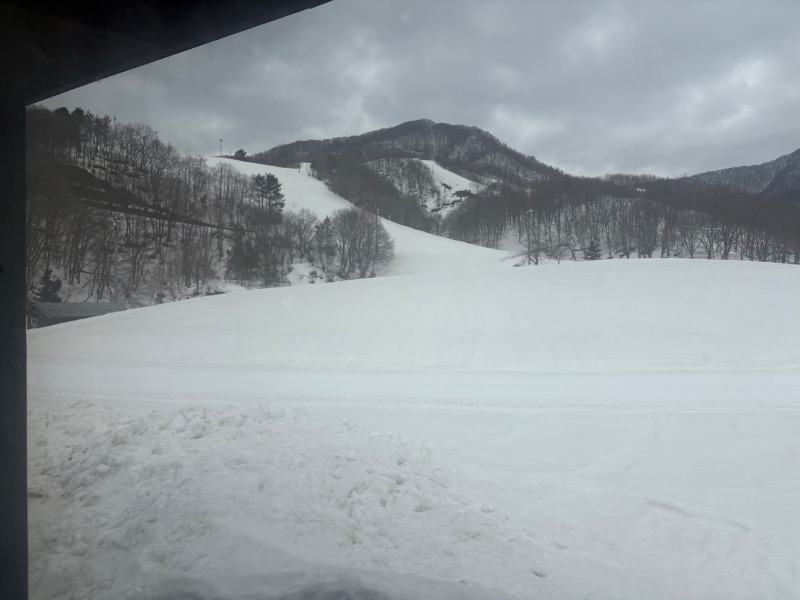 鏡さんのホットハウスカムロのサ活写真