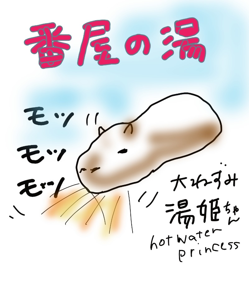 アキネクトさんの石狩天然温泉 番屋の湯のサ活写真