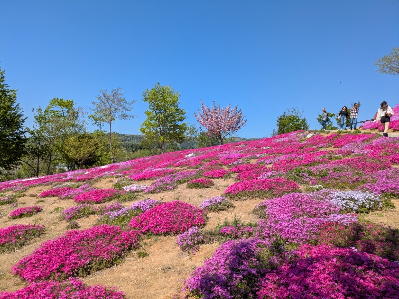 ぽこぽこさんの花と緑と安らぎの湯 東和温泉のサ活写真
