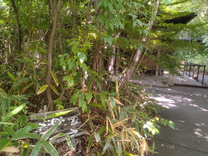 元橋 あきひろさんの縄文天然温泉 志楽の湯のサ活写真